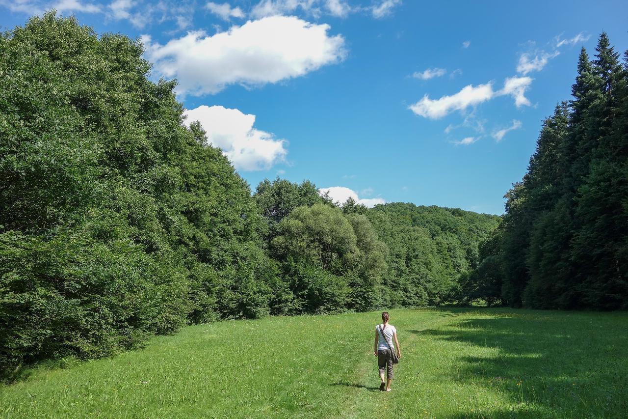 Baumhaushotel Seemuhle Gräfendorf Esterno foto