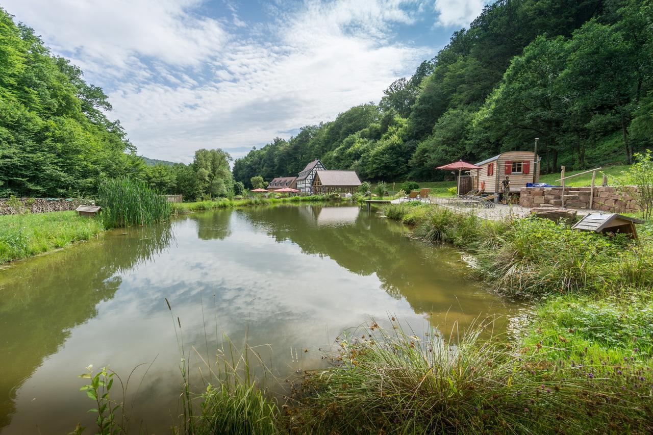 Baumhaushotel Seemuhle Gräfendorf Esterno foto